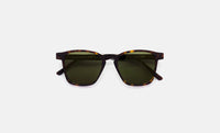 Unico 3627 Sunglasses, Green-Solbriller-RSF Sunglasses-Motorious Copenhagen